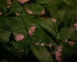 豚こまの青じそ照り焼き作り方2写真