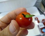 お弁当に♪ちっちゃなりんご♡作り方1写真