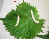 お弁当に～鶏の照り焼き☆シソに包まれて作り方3写真