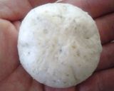全粒粉と✿米粉の✿チョコ包み✿ちぎりパン作り方4写真
