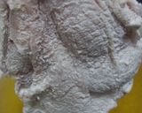 山盛わけぎの揚鶏作り方10写真