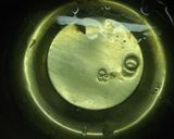 バスディーケーキ①作り方11写真