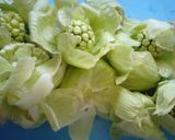 苦味が癖になる♫蕗の薹(ﾌｷﾉﾄｳ)味噌作り方1写真