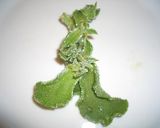 はじめての食感、ソルティーナのサラダ作り方3写真