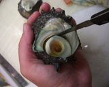 魚を捌こう！新鮮♫サザエの刺身編作り方3写真