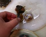 魚を捌こう！新鮮♫サザエの刺身編作り方5写真
