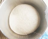 +++　手捏ねでカンパーニュ　+++作り方9写真