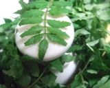 木の芽味噌茄子作り方1写真