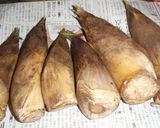 たけのこのお刺身♪作り方1写真