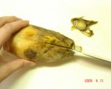 たけのこの茹で方★実家の母編作り方2写真