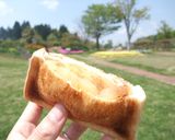 食パンでできた♪ポケットサンド作り方6写真