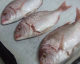 春子飯作り方3写真