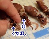 ホタルイカの大葉生姜和え物♪作り方1写真