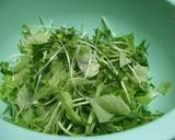 三種の緑黄野菜と半熟卵の巣ごもりサラダ作り方5写真