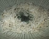 三種の緑黄野菜と半熟卵の巣ごもりサラダ作り方8写真