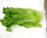 うちの味☆Wの胡椒♬ピリッと旨々レタス🥗作り方16写真