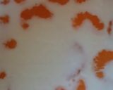 牛乳のミカン寒天作り方5写真