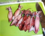ヤリイカの辛子酢味噌マヨマカロニサラダ作り方3写真