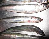 簡単イワシの天麩羅作り方1写真