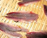 簡単イワシの天麩羅作り方8写真