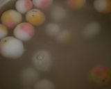 フルーツピューレ＆フルーツ白玉＆サイダー作り方16写真