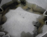 手羽先と根菜の煮物作り方3写真
