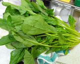 簡単ヘルシーほうれん草のおひたし作り方1写真