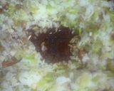 冷蔵庫にあるもので・・・納豆チャーハン作り方7写真