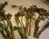 のびのびたらの芽のてんぷら作り方1写真