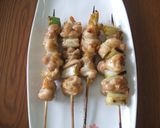 魚焼き器で焼き鳥（塩）作り方5写真