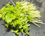 鶏肉ソテーのたっぷり雪見おろしポン酢作り方2写真