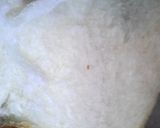 ◇我が家のいつもの食パン◇作り方12写真