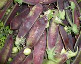 ツタンカーメンのシンプルお豆ご飯作り方1写真