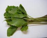 簡単☆葉わさび漬け作り方1写真