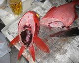 キンメダイのトロトロしゃぶしゃぶ作り方2写真