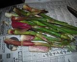 うどをおいしく食べる方法作り方2写真