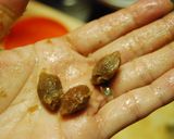 鰯の酢煮作り方6写真