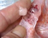 忘れられない味に◆キンキの酒盗焼作り方7写真