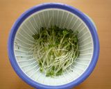 豆腐のオリーブオイルと梅のサラダ作り方3写真