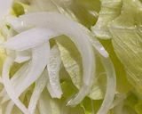 混ぜるだけ超簡単！レタスの塩昆布和え作り方1写真