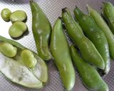 空豆と新玉ねぎの肉じゃが作り方4写真