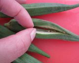 とっても簡単！なすと夏野菜の煮浸し☆作り方3写真