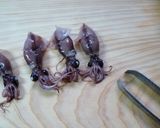 頼むから　ホタルイカはおいしく食べさせて作り方2写真