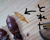 頼むから　ホタルイカはおいしく食べさせて作り方6写真
