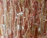 簡単♪パプリカの肉巻き／照り焼き風作り方2写真