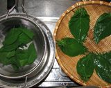作っておこう「桜の葉の塩漬け」作り方3写真