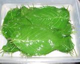 作っておこう「桜の葉の塩漬け」作り方6写真