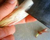 今が旬！ウドの胡麻和え作り方1写真