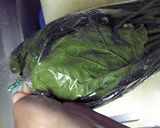 ほうれん草の冷凍保存方作り方3写真