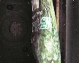 ほうれん草の冷凍保存方作り方4写真